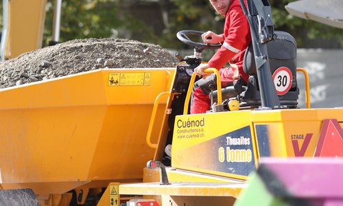 Thwaites Dumper