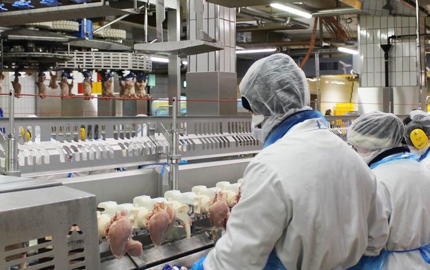 Die frifag Märwil AG hat einen Jahresstromverbrauch von 8 Gigawattstunden.