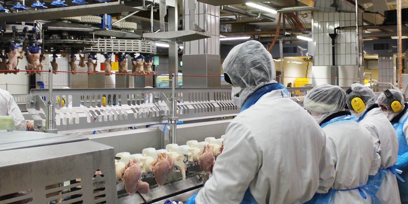 Die frifag Märwil AG hat einen Jahresstromverbrauch von 8 Gigawattstunden.