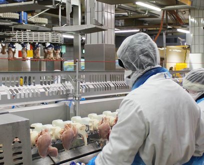 Die frifag Märwil AG hat einen Jahresstromverbrauch von 8 Gigawattstunden.