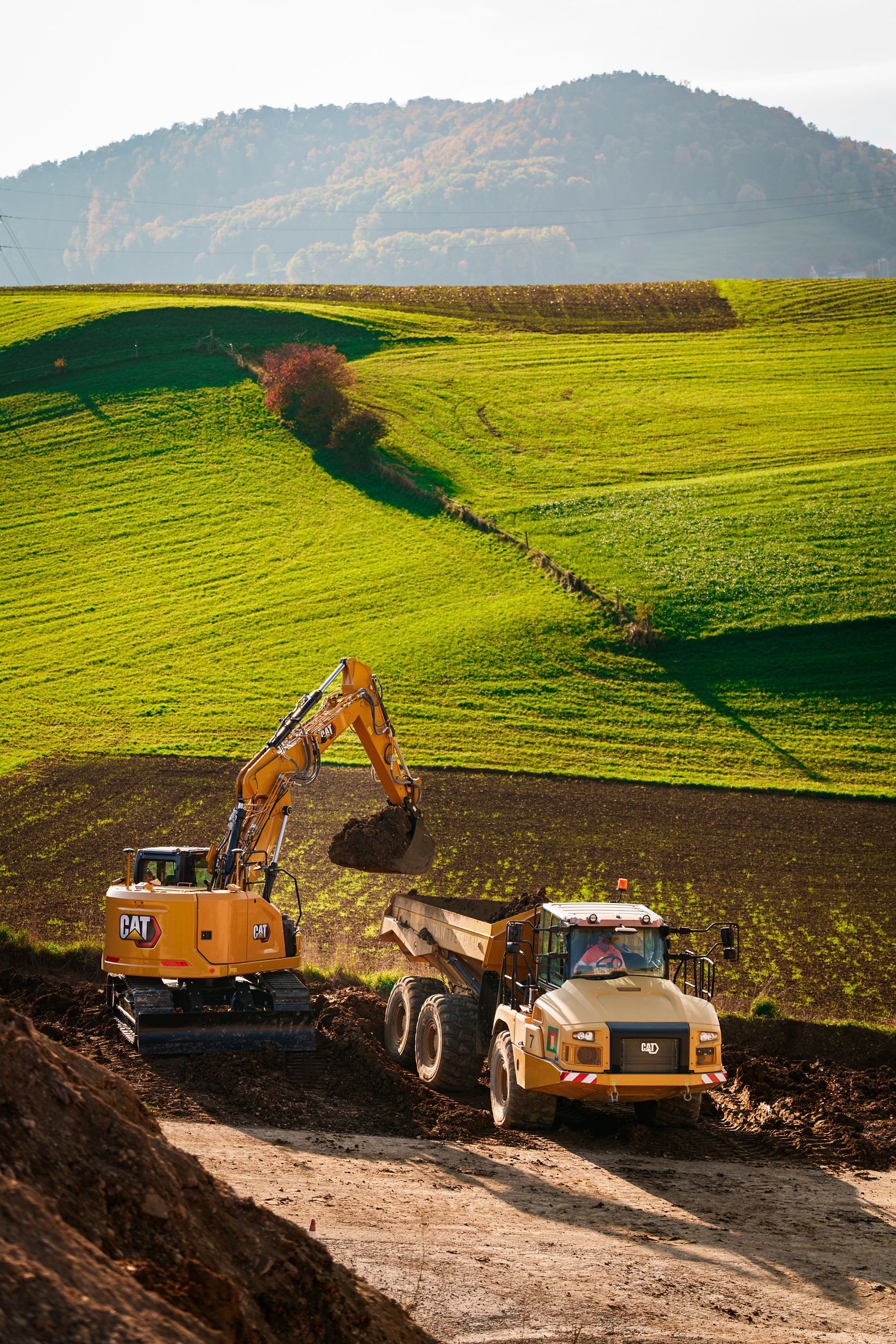 Cat 319-07